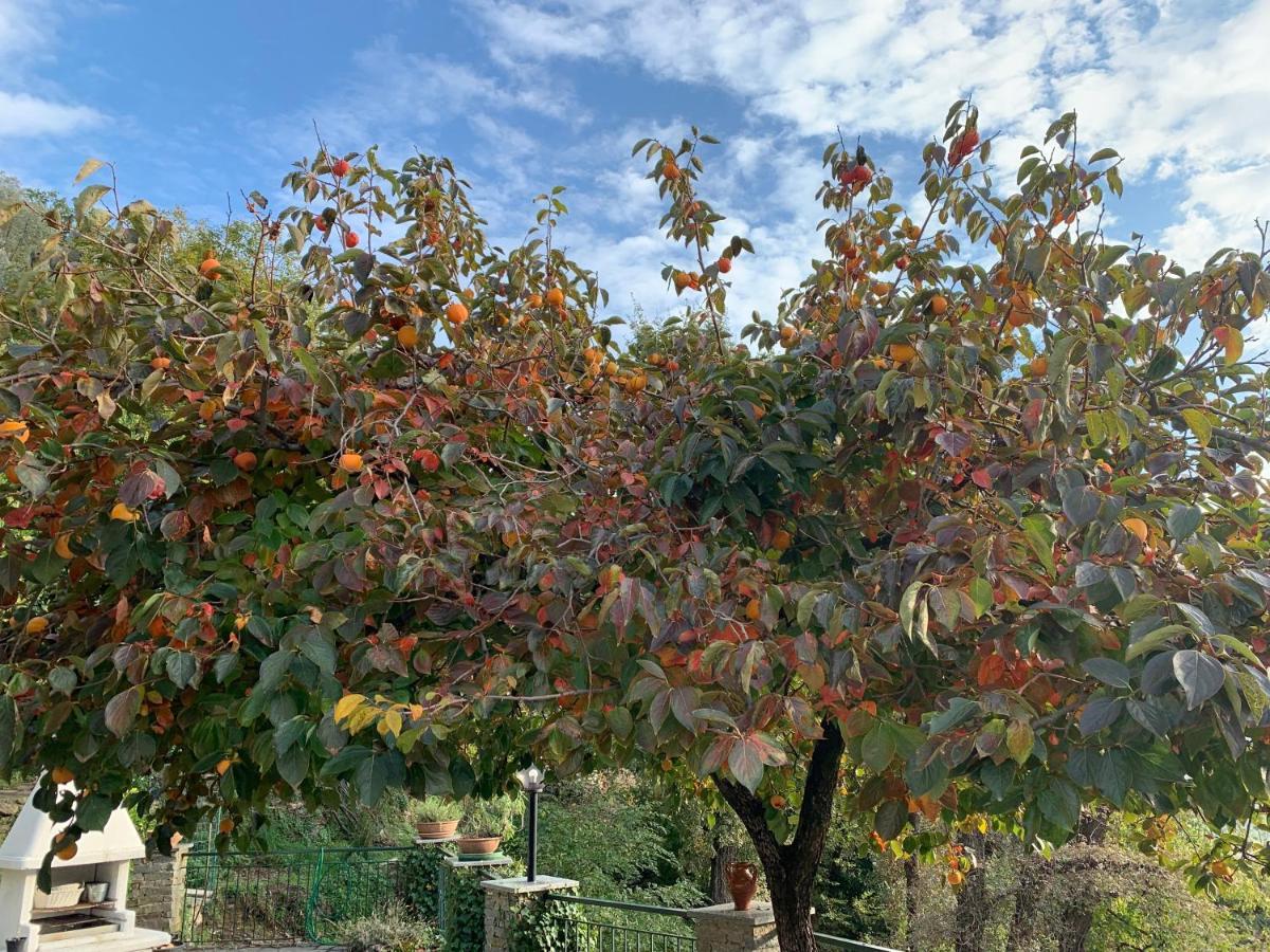 Il Giardino Di Piero - Lt-0029 Βίλα Salto Chiesa Εξωτερικό φωτογραφία