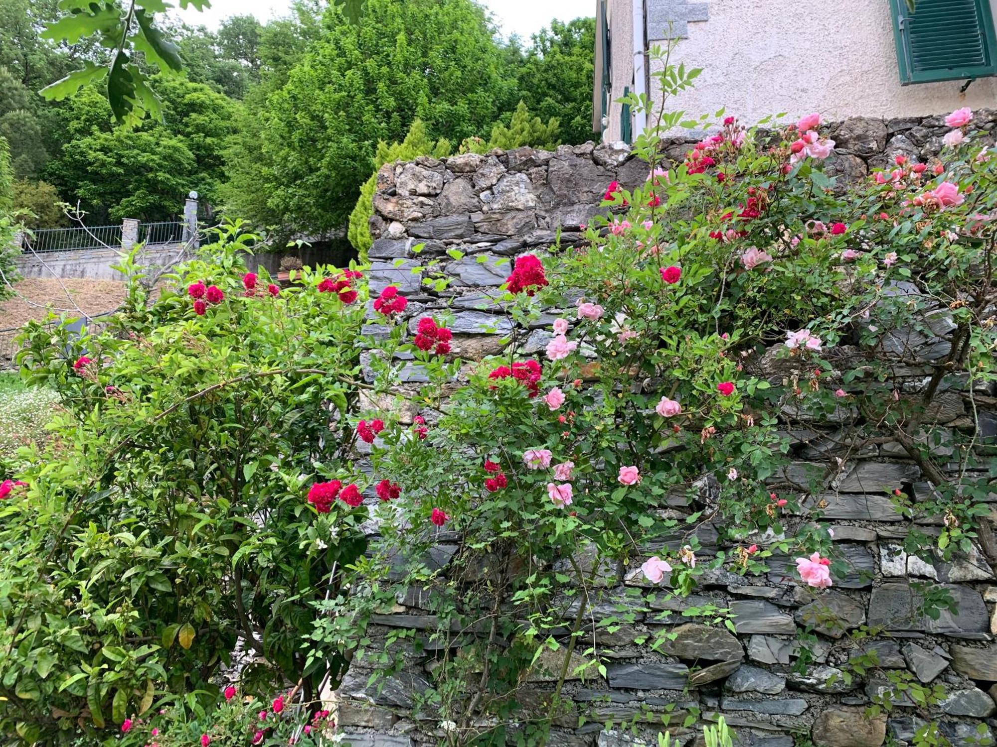Il Giardino Di Piero - Lt-0029 Βίλα Salto Chiesa Εξωτερικό φωτογραφία
